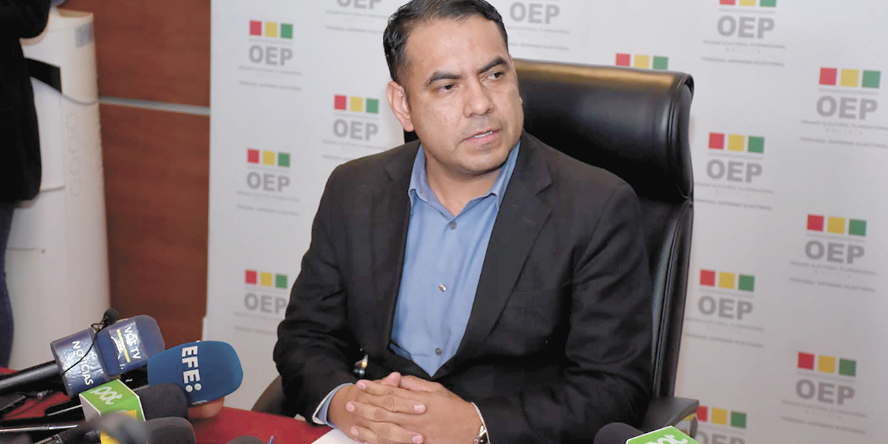 El presidente en ejercicio del TSE, Francisco Vargas.
