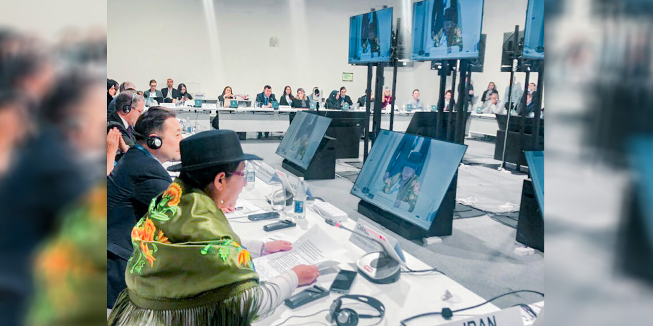 Bolivia propone en la COP29 la creación de un fondo de protección de cuencas hídricas