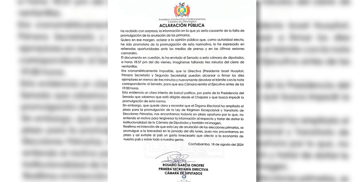 La carta de la primera secretaria de la Cámara de Diputados, Rosario García.