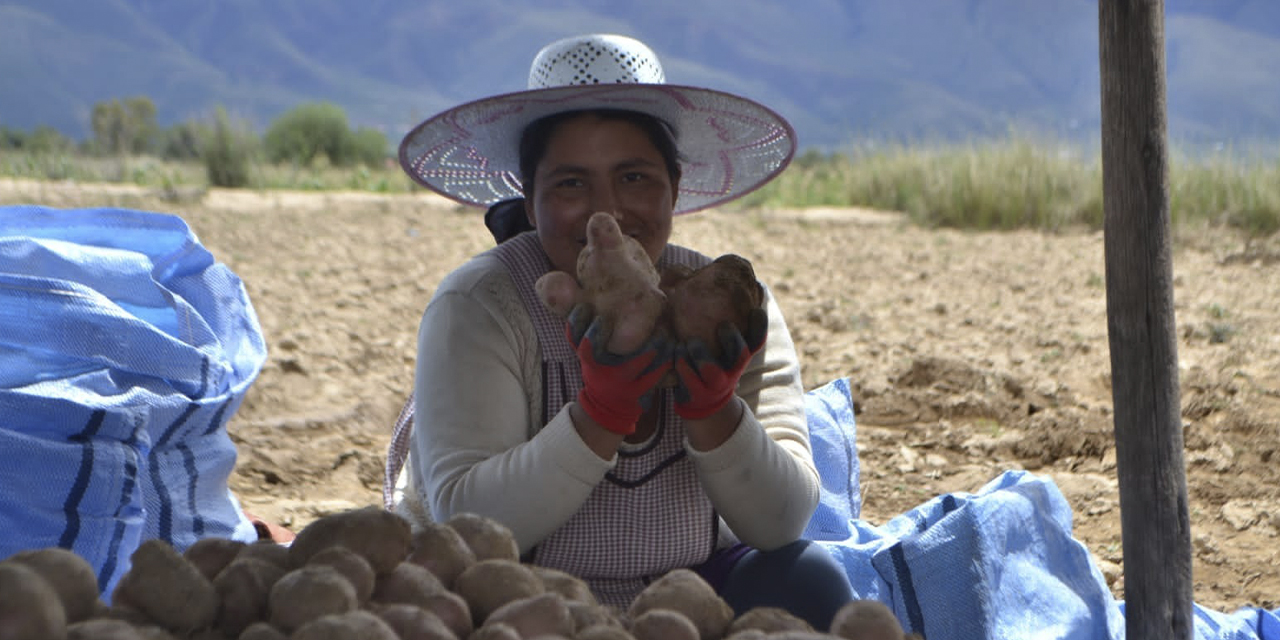 Una mujer muestra una variedad de papa. (Foto: MDRYT)