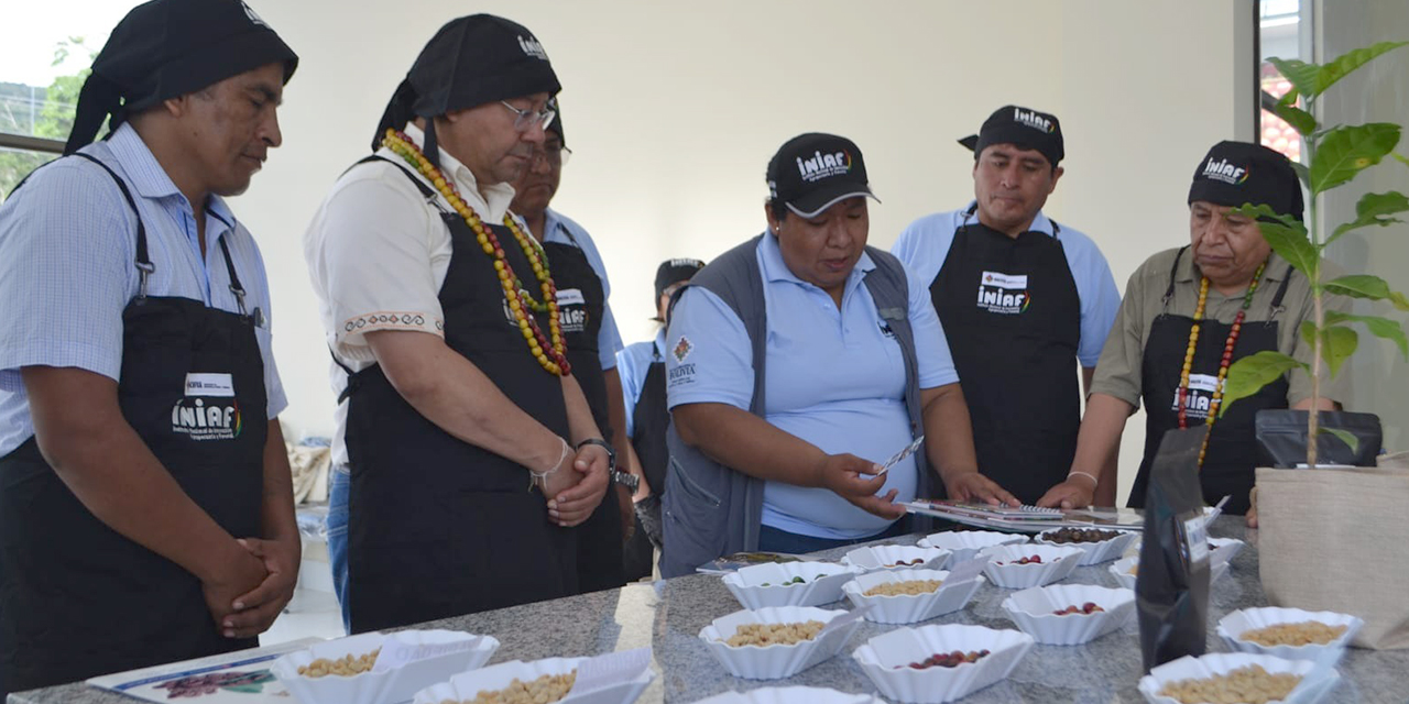 El presidente Luis Arce y el vicepresidente David Choquehuanca inauguraron el Centro del Café en Caranavi. (Foto: Archivo)