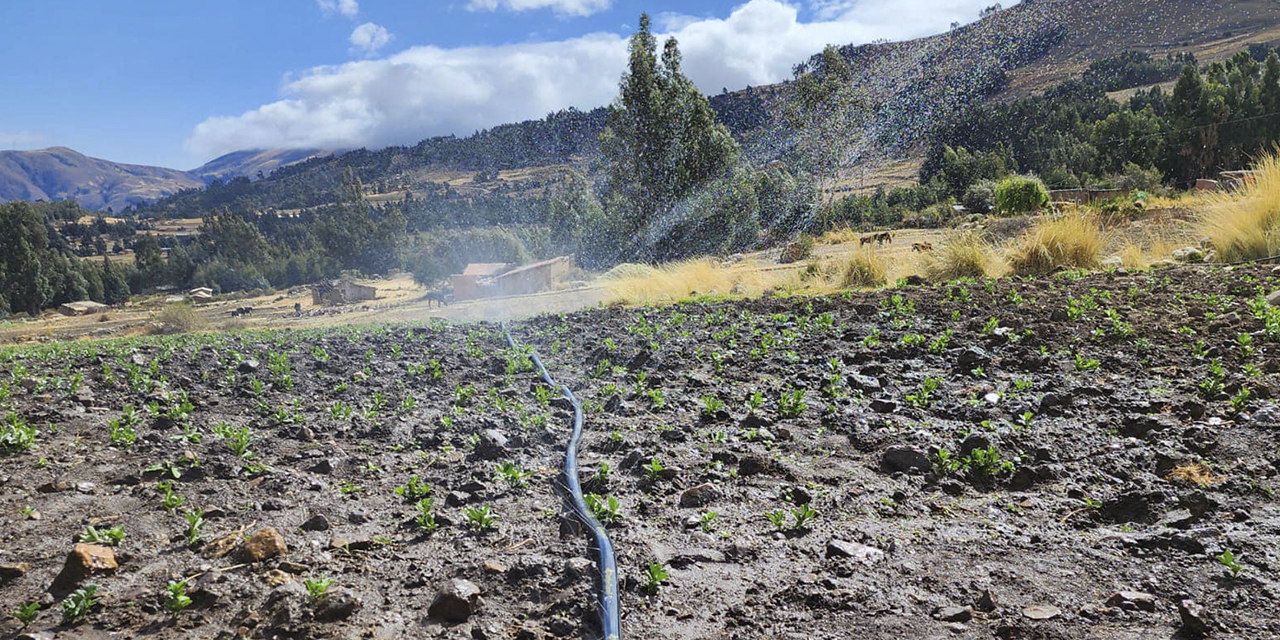 El sistema de riego para los productores de Tiraque.