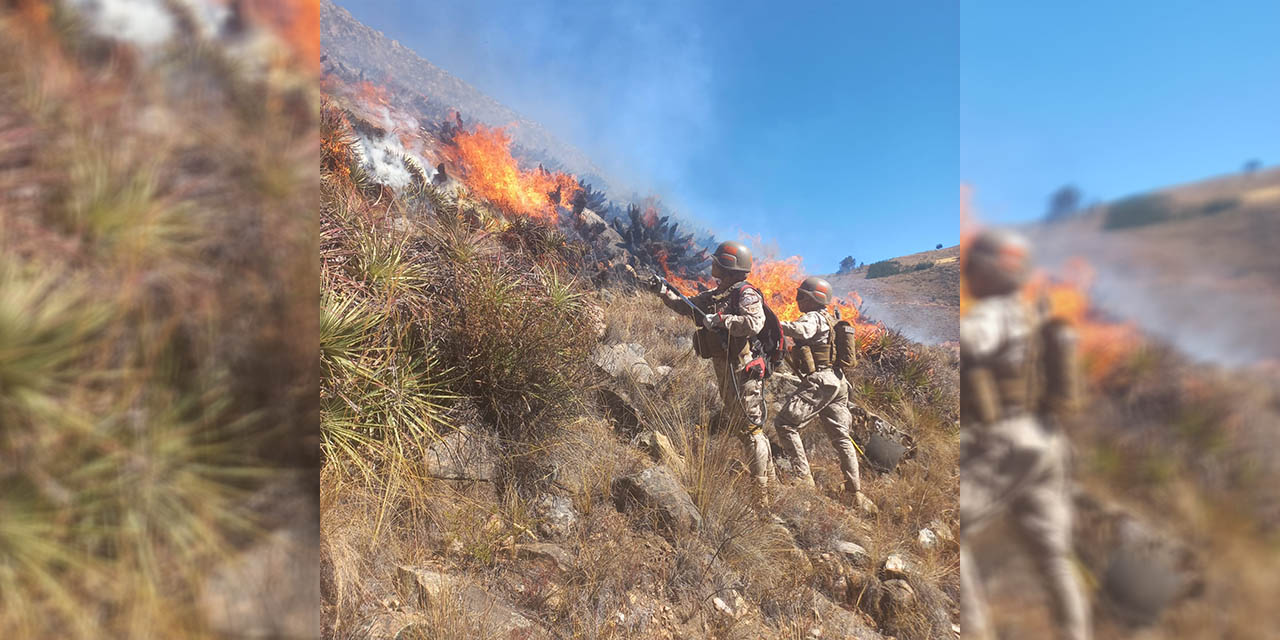 Efectivos de las Fuerzas Armadas combaten contra los incendios. | Foto: Defensa