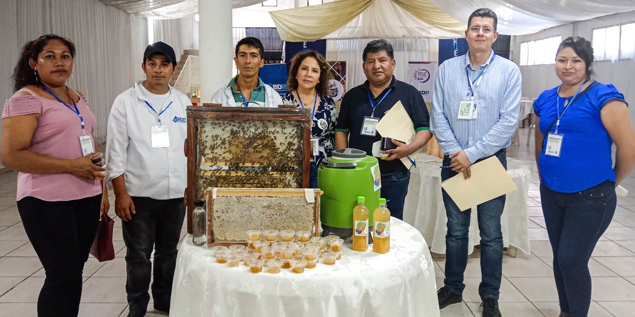 Emprendimientos apoyados por el BDP.