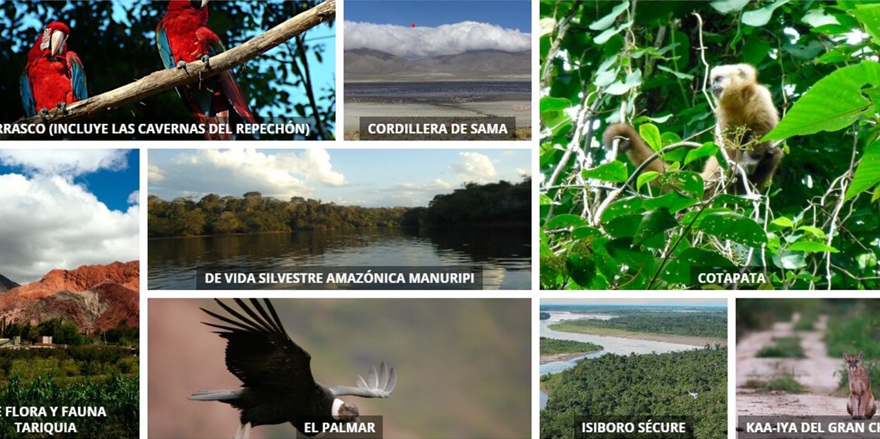 Bolivia lidera la conservación en Sudamérica con el 23% de su territorio protegido. Foto Sernap